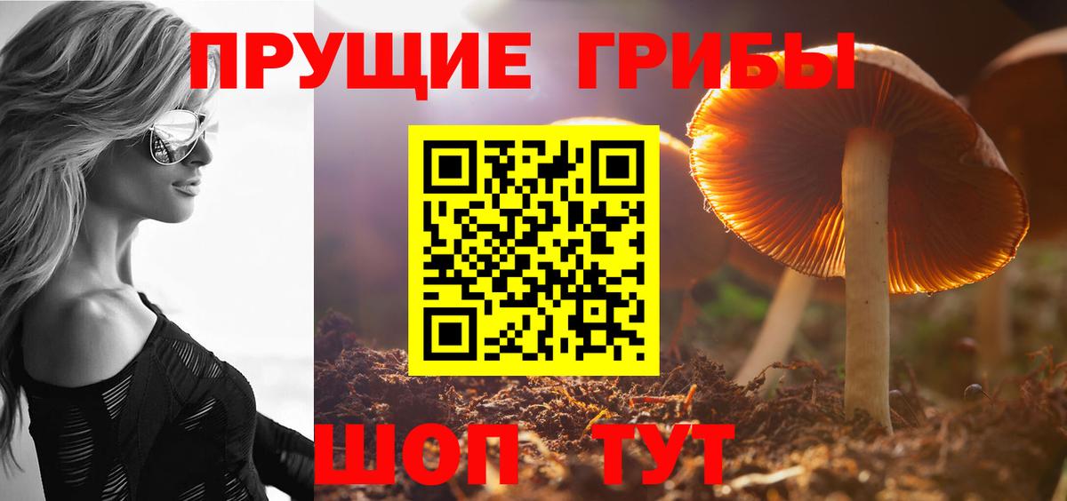 Псилоцибиновые грибы GOLDEN TEACHER Павловский Посад