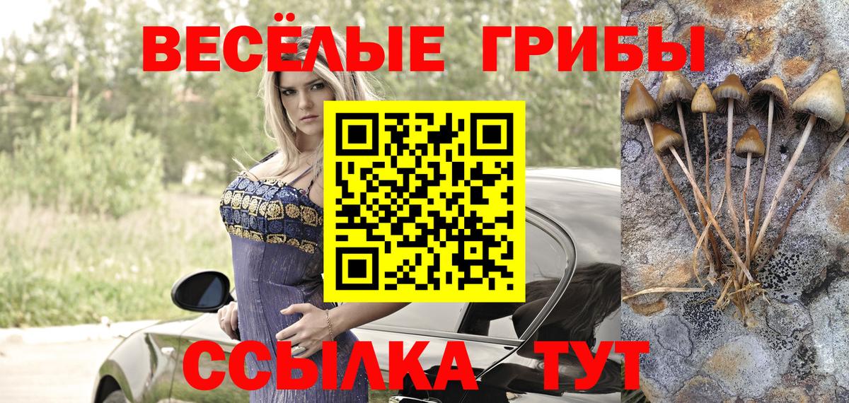Псилоцибиновые грибы прущие грибы  Вход с VPN  Павловский Посад 